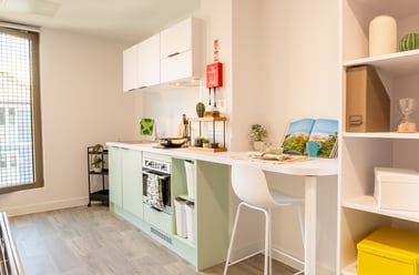 Luxury Studio, Promenade Student Living, 5-8 London Road, The Level, Brighton - Image 3